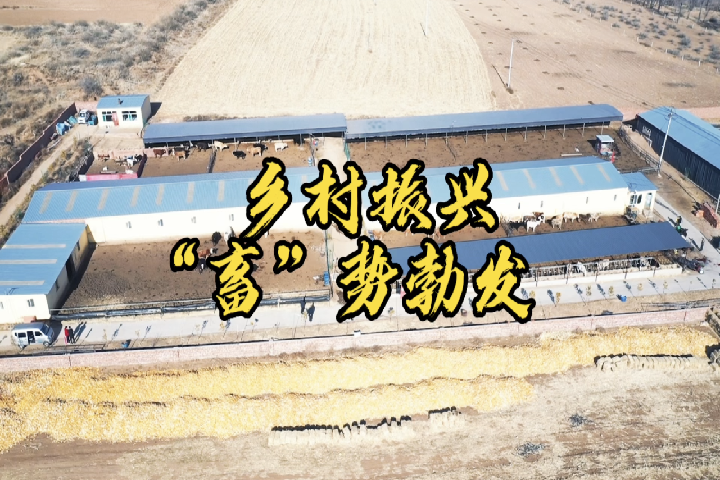 鄉(xiāng)村振興 “畜”勢(shì)勃發(fā)